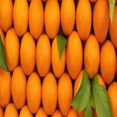 07_FF-orange578-ab_11zon